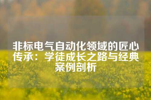 非标电气自动化领域的匠心传承：学徒成长之路与经典案例剖析
