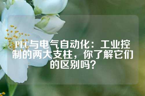 PLC与电气自动化：工业控制的两大支柱，你了解它们的区别吗？