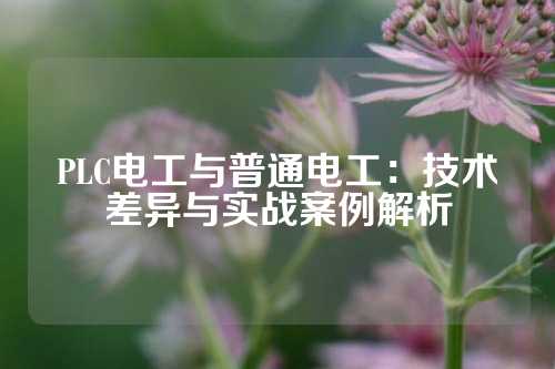 PLC电工与普通电工：技术差异与实战案例解析