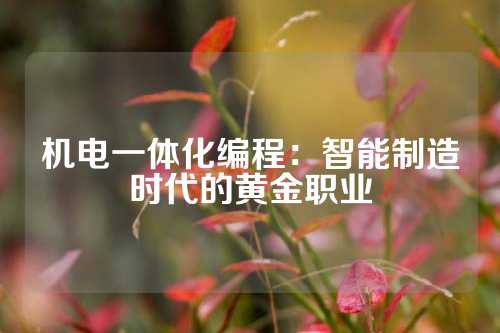 机电一体化编程：智能制造时代的黄金职业