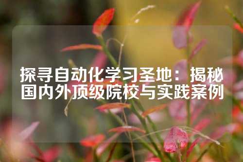 探寻自动化学习圣地：揭秘国内外顶级院校与实践案例