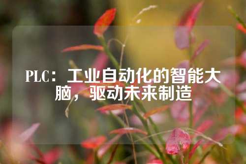 PLC：工业自动化的智能大脑，驱动未来制造
