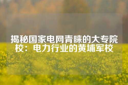 揭秘国家电网青睐的大专院校：电力行业的黄埔军校
