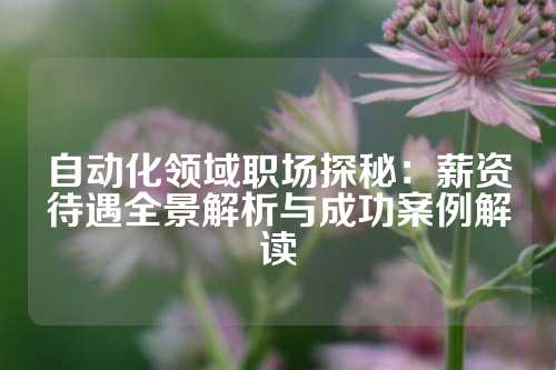 自动化领域职场探秘：薪资待遇全景解析与成功案例解读