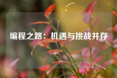 编程之路：机遇与挑战并存