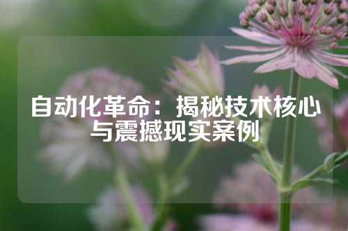 自动化革命：揭秘技术核心与震撼现实案例