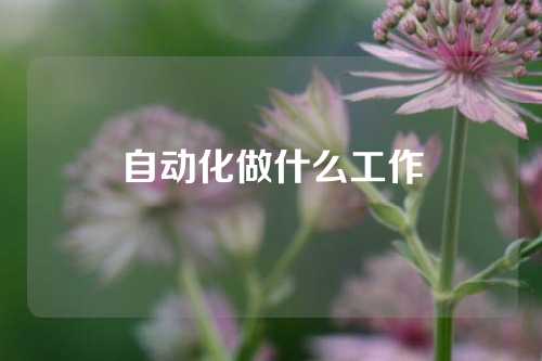 自动化做什么工作
