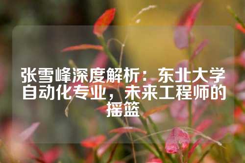 张雪峰深度解析：东北大学自动化专业，未来工程师的摇篮