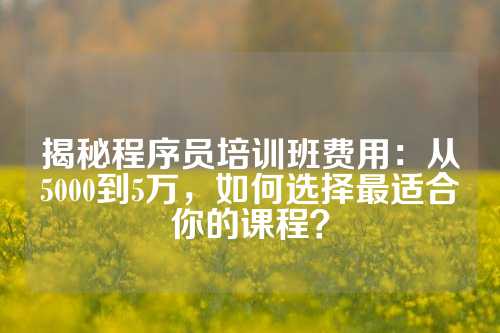 揭秘程序员培训班费用：从5000到5万，如何选择最适合你的课程？