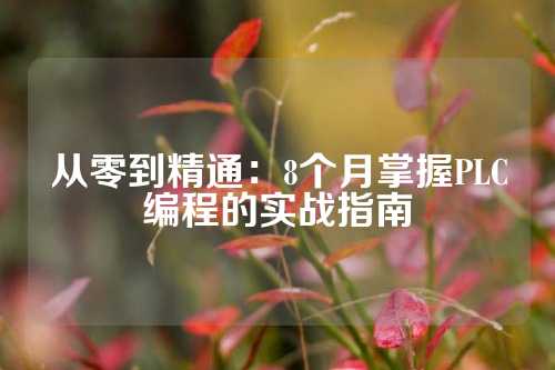 从零到精通：8个月掌握PLC编程的实战指南