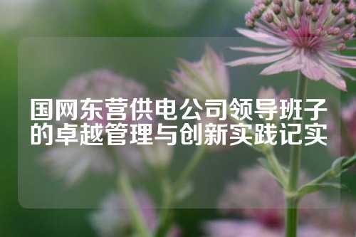 国网东营供电公司领导班子的卓越管理与创新实践记实