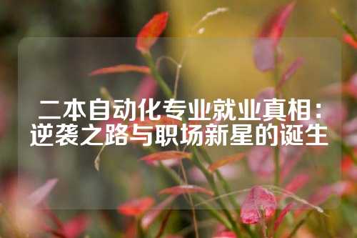 二本自动化专业就业真相：逆袭之路与职场新星的诞生