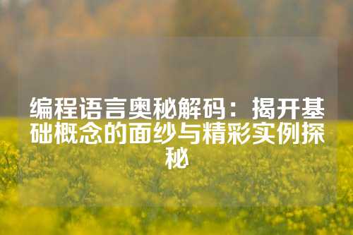 编程语言奥秘解码：揭开基础概念的面纱与精彩实例探秘