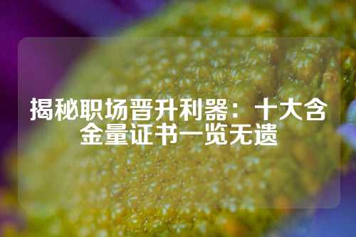 揭秘职场晋升利器:十大含金量证书一览无遗