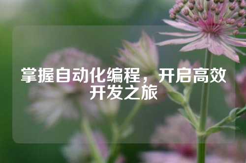 掌握自动化编程,开启高效开发之旅