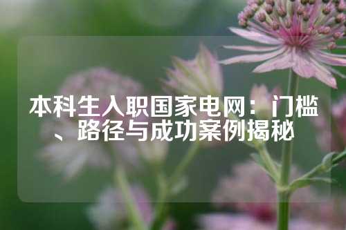 本科生入职国家电网：门槛、路径与成功案例揭秘