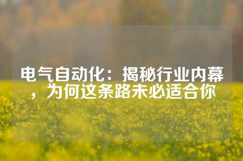 电气自动化：揭秘行业内幕，为何这条路未必适合你