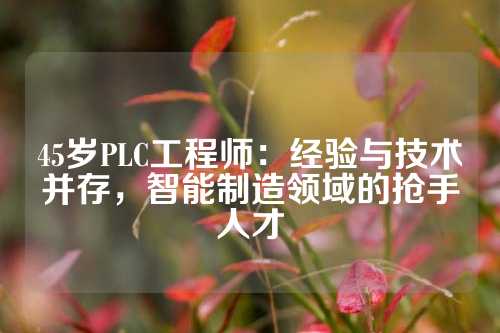 45岁PLC工程师：经验与技术并存，智能制造领域的抢手人才