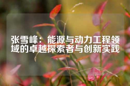 张雪峰：能源与动力工程领域的卓越探索者与创新实践