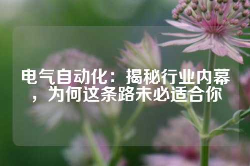 电气自动化：揭秘行业内幕，为何这条路未必适合你