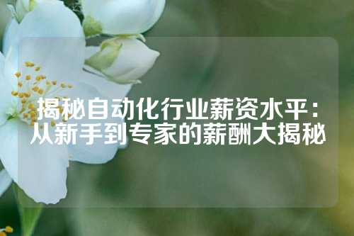 揭秘自动化行业薪资水平：从新手到专家的薪酬大揭秘