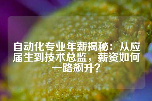 自动化专业年薪揭秘：从应届生到技术总监，薪资如何一路飙升？
