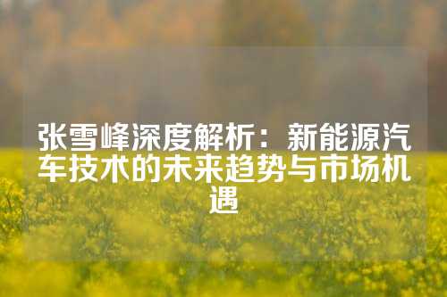 张雪峰深度解析：新能源汽车技术的未来趋势与市场机遇