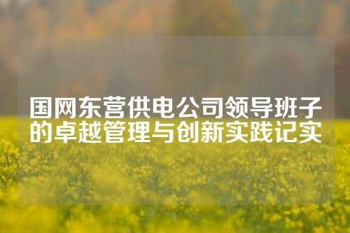 国网东营供电公司领导班子的卓越管理与创新实践记实