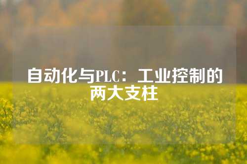 自动化与PLC：工业控制的两大支柱