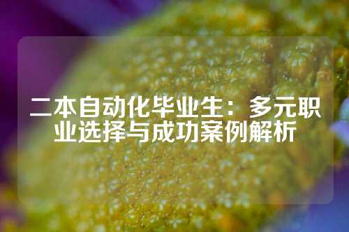 二本自动化毕业生：多元职业选择与成功案例解析