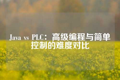 Java vs PLC：高级编程与简单控制的难度对比