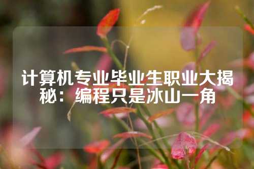 计算机专业毕业生职业大揭秘：编程只是冰山一角
