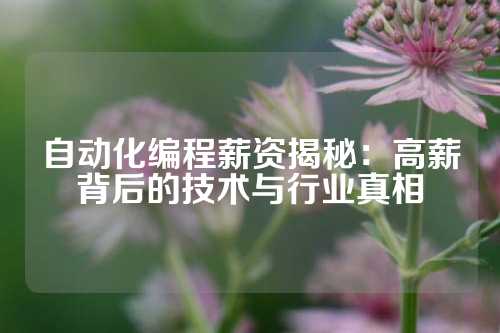 自动化编程薪资揭秘：高薪背后的技术与行业真相