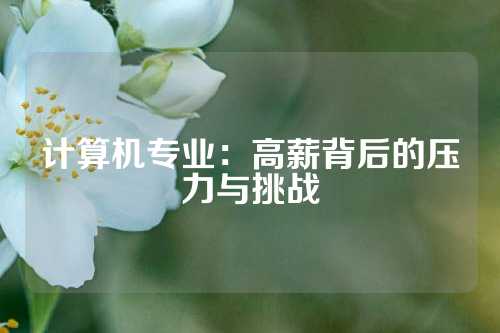 计算机专业：高薪背后的压力与挑战