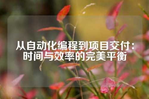 从自动化编程到项目交付：时间与效率的完美平衡