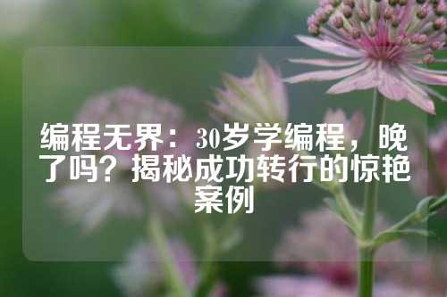 编程无界：30岁学编程，晚了吗？揭秘成功转行的惊艳案例