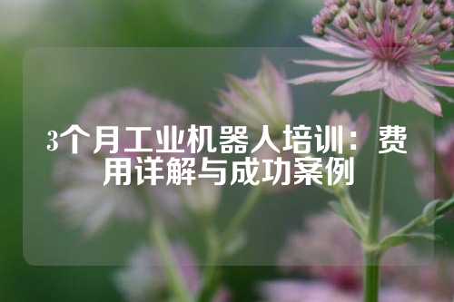 3个月工业机器人培训：费用详解与成功案例