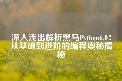 深入浅出解析黑马Python6.0：从基础到进阶的编程奥秘揭秘