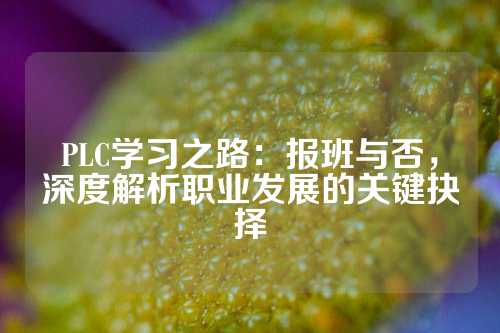 PLC学习之路：报班与否，深度解析职业发展的关键抉择