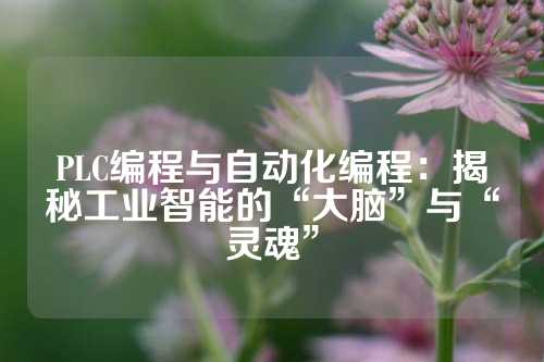 PLC编程与自动化编程：揭秘工业智能的“大脑”与“灵魂”