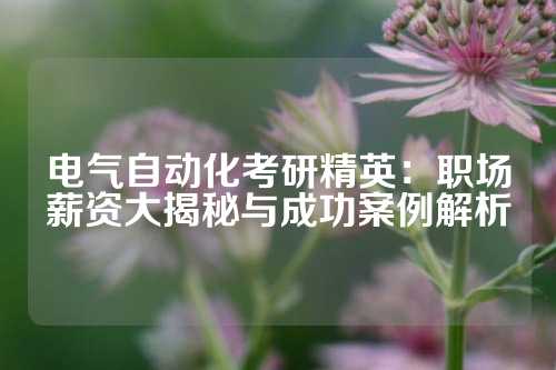 电气自动化考研精英：职场薪资大揭秘与成功案例解析