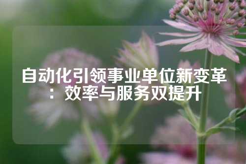 自动化引领事业单位新变革：效率与服务双提升