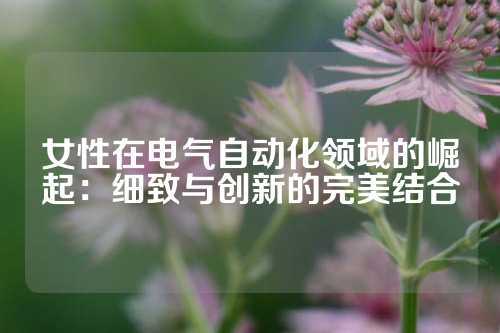 女性在电气自动化领域的崛起：细致与创新的完美结合