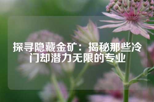 探寻隐藏金矿：揭秘那些冷门却潜力无限的专业