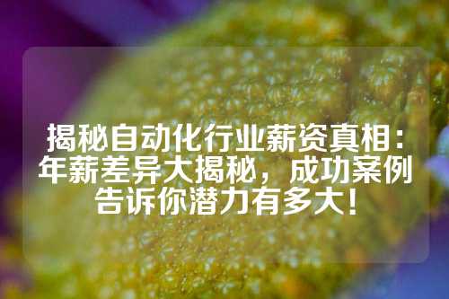 揭秘自动化行业薪资真相：年薪差异大揭秘，成功案例告诉你潜力有多大！