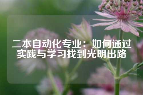 二本自动化专业：如何通过实践与学习找到光明出路