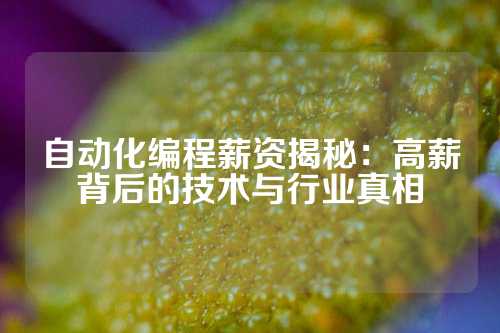 自动化编程薪资揭秘：高薪背后的技术与行业真相