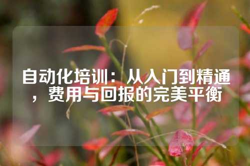 自动化培训：从入门到精通，费用与回报的完美平衡