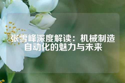 张雪峰深度解读：机械制造自动化的魅力与未来