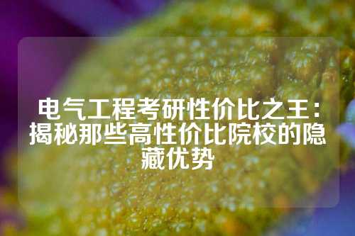 电气工程考研性价比之王：揭秘那些高性价比院校的隐藏优势